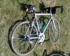 My Klein